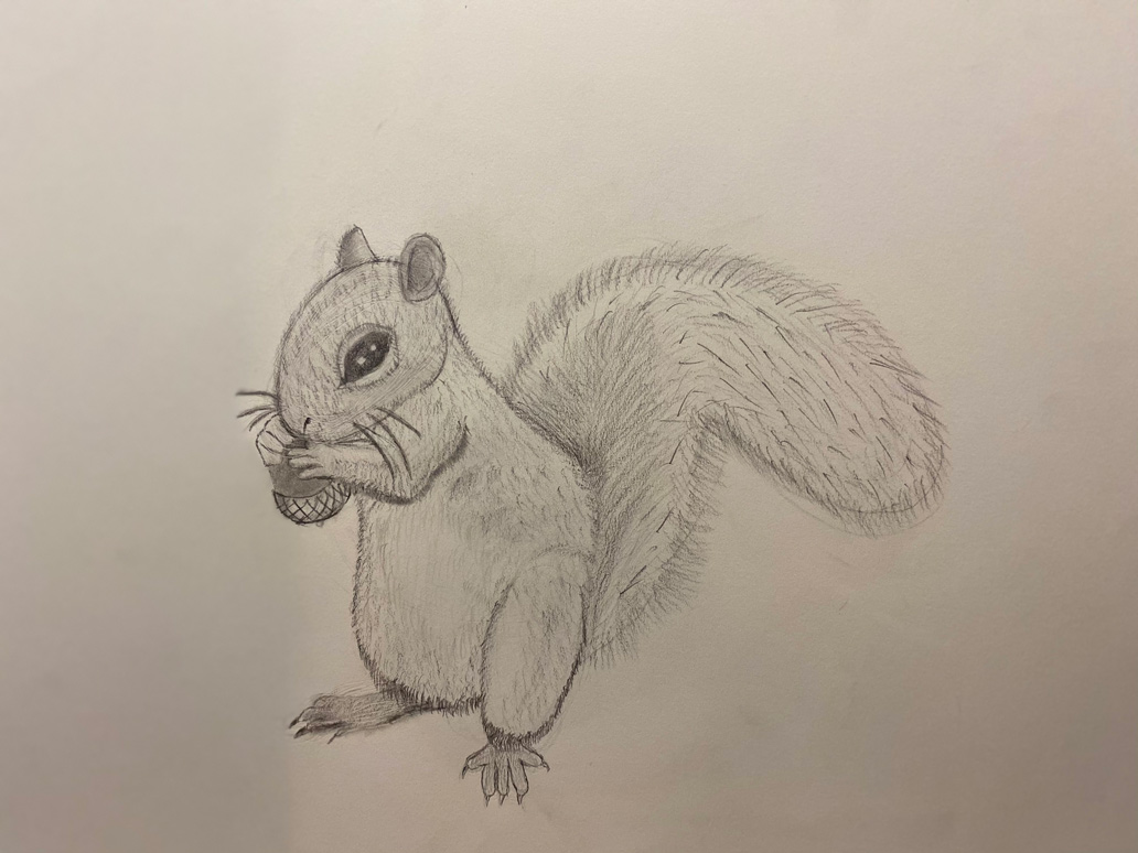 Hrithik Yarlagadda – Squirrel